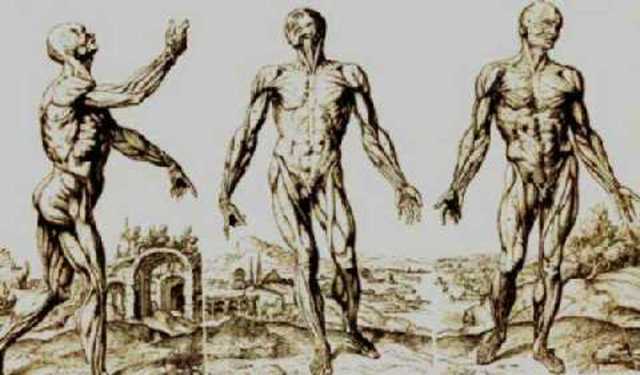 Siglo XVI: Andrés Laguna y Andreas Vesalio