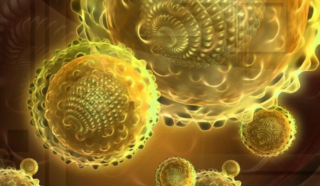 PROTEÍNA E INSULINA