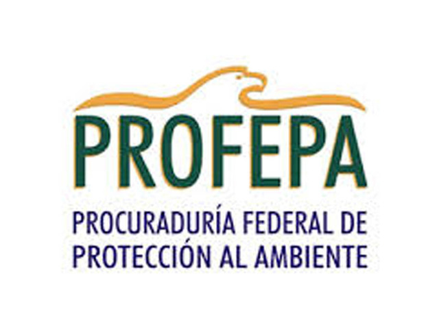 Se creó la Procuraduría Federal de Protección al Ambiente (PROFEPA)