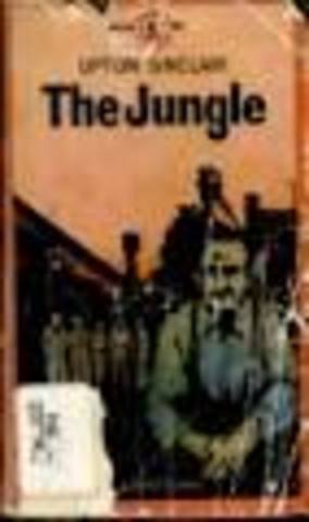 The Jungle