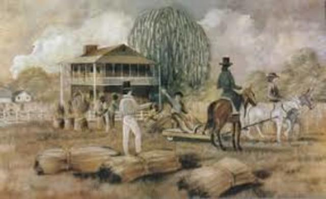 The Plantation Duty Act