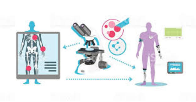 Séc XIX Período Áureo!