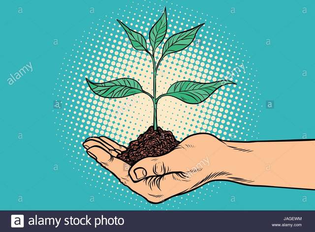 Ley 1448: Decreto Reglamentario 4463, 4796, 4498 y 4799