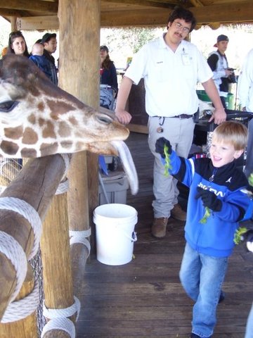 A trip to the Jacksonville Zoo