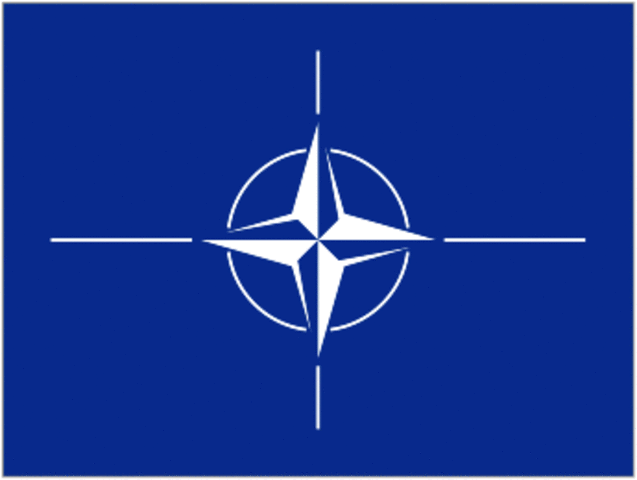 North Atlantic Treaty Organization (NATO)