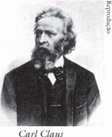 El mundo de la investigación