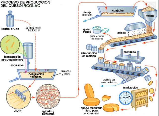Proceso de Producción.
