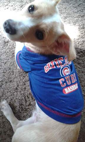 Mi Graduación de Octavo Grado y La Adopción de Max