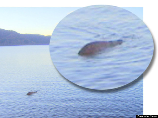 La prima analisi del reperto da esperti USA