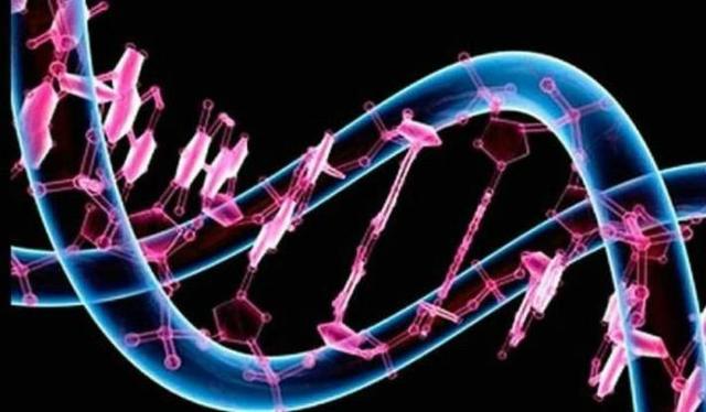 El genoma humano descifrado