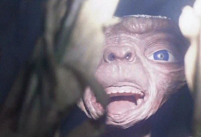 The Third expedition