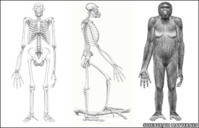 El homínido mas antiguo hallado