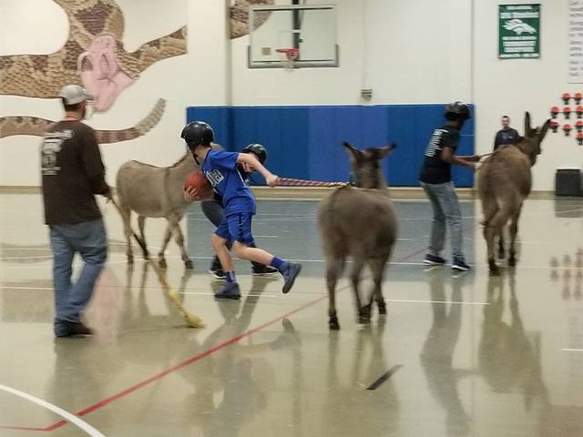 Donkey Basketball
