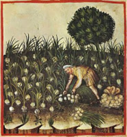 L'agricultura