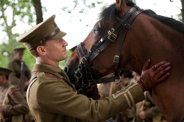 Joey gets sold to Captain Nicholls