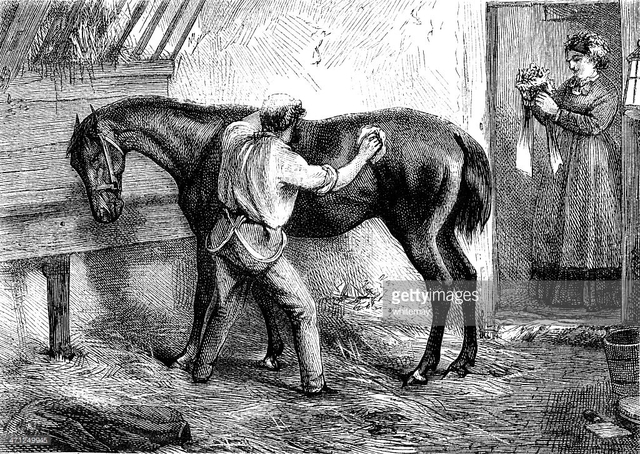 Joey meets Trooper Warren, his new rider