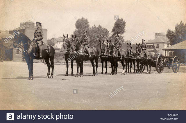 Joey and Topthorn are taken away by a different army