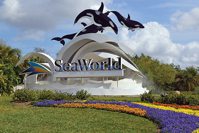 First time going to Seaworld