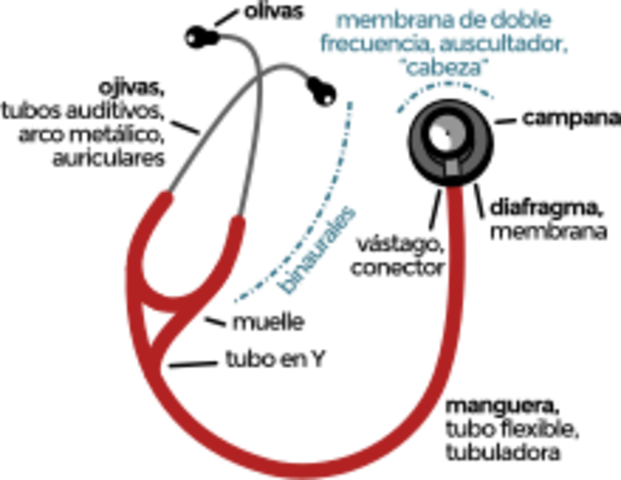 René Laennec inventa el estetoscopio.