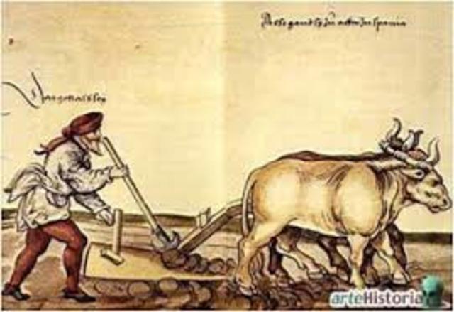 Explotación laboral  campesina