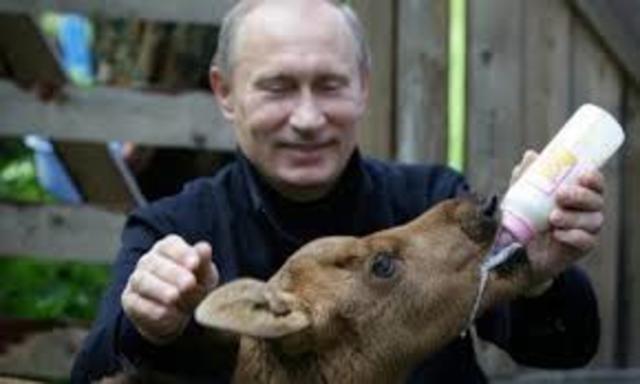 3rd coalition government with bolsheviks as the majority