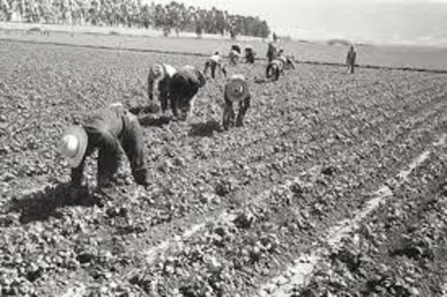 Muchos braceros regresaron a México porque era un trabajo difícil que requerían muchos