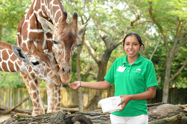 Susana Cárdenas es contratada como representante del Chicago Zoological Society.
