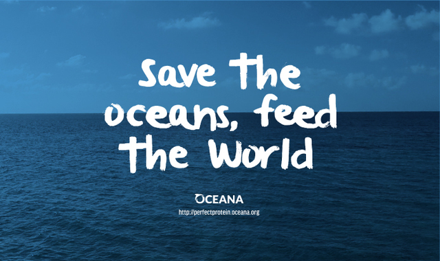 Susana sigue siendo la directora y trabaja junto a Adkesson en campo