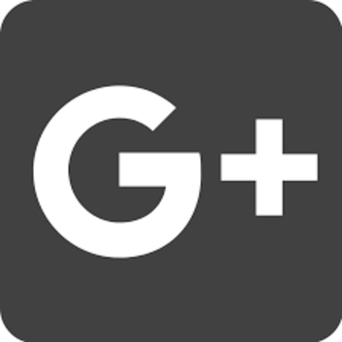 Google +