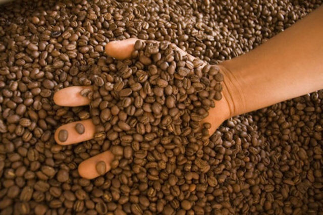 El pacto internacional del cafe