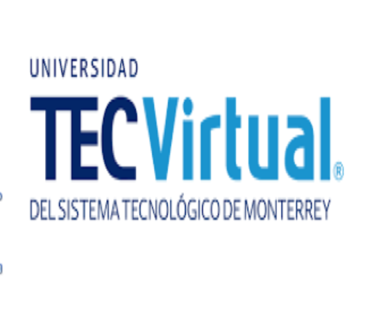 El ITESM forma la Universidad Virtual