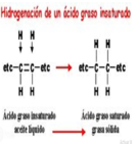 Obtención de la Manteca
