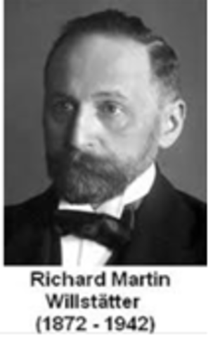 Estructura de la Clorofila