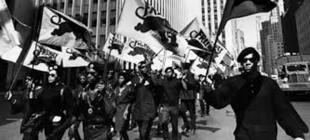 The Black Panther Party