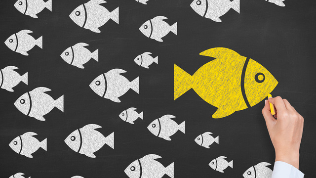 Cambio de Paradigma, demostración de exito en los OA