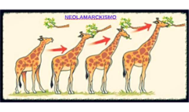 Neolamarckismo