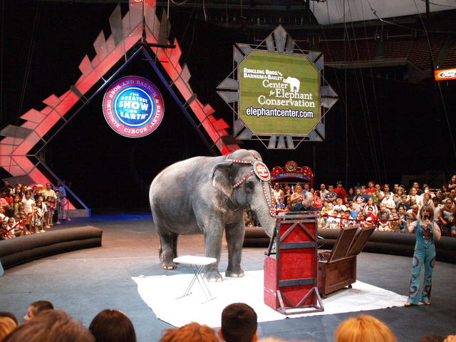 First Time At The Circus