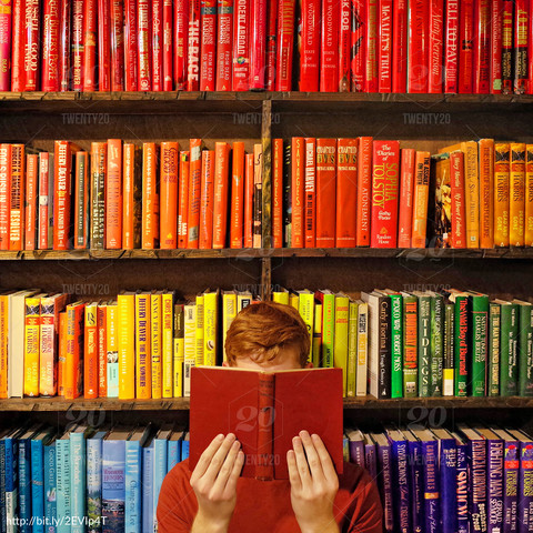 Où l’on entre dans les détails...