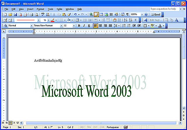 word 2003