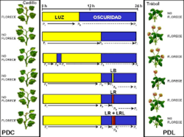 Bortwick y otros investigadores