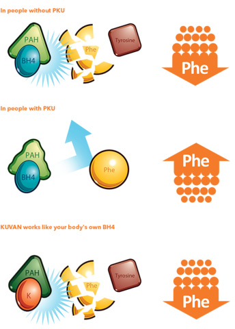 The child receives its prescribed KUVAN in the mail.