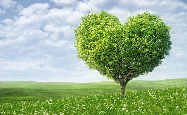 Secretaría de Desarrollo Urbano y Ecología