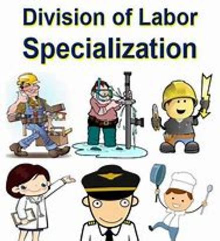 Division of Labor