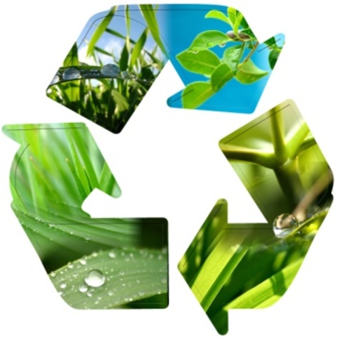 Programa Sectorial de Medio Ambiente y Recursos Naturales