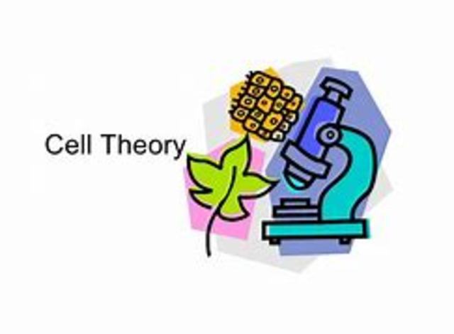 Cell Theory