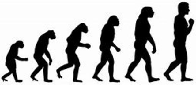 Evolution