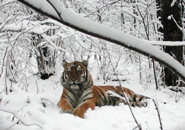 Основание заповедника