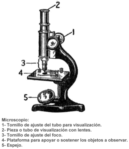Microscopio de efecto túnel  - Gerd Binnig y Heinrich Rohrer