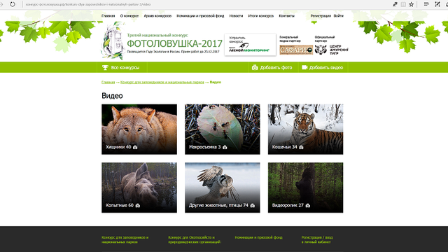 Участие в национальном конкурсе.