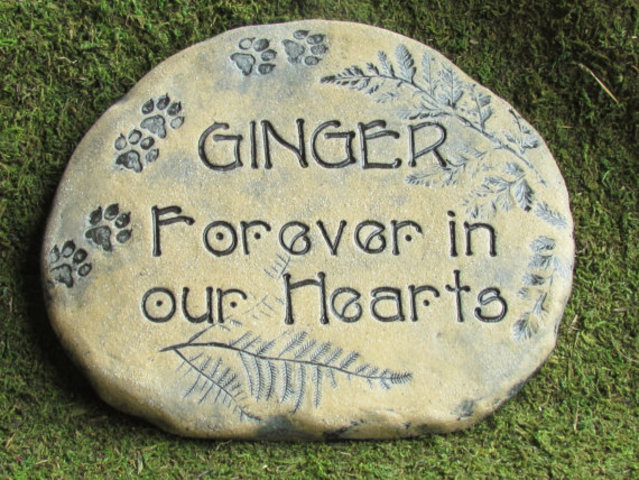 when my grandmas dog died